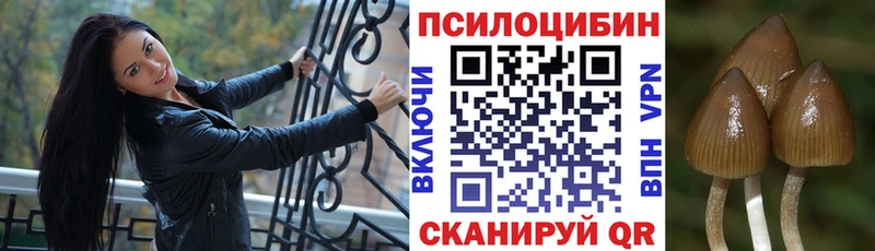 Галлюциногенные грибы Cubensis  Гай 